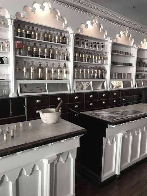 Gothic Apothecary Kitchen, Light Apothecary Aesthetic, Apothecary Bar Design, Chinese Apothecary Aesthetic, Victorian Apothecary Aesthetic, Apothecary Store Aesthetic, Apothecary Style Kitchen, Modern Apothecary Aesthetic, Apothecary Beauty