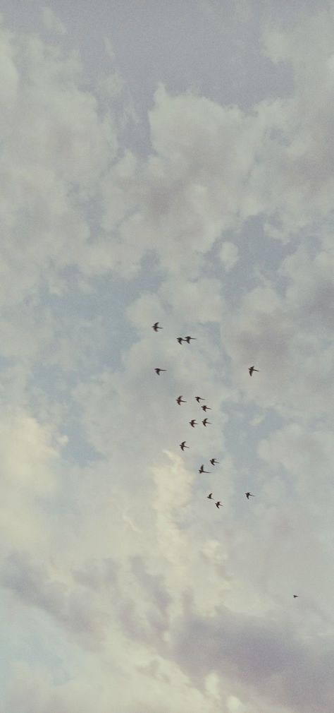 Bird Sky Aesthetic, Birds Wallpaper Aesthetic, Birds Photography Flying Sky, Sparrows Wallpaper, Aesthetic Bird Wallpaper, Bird Wallpaper Aesthetic, Birds Aesthetic Wallpaper, Aesthetic Birds Flying, Birds Sky Aesthetic