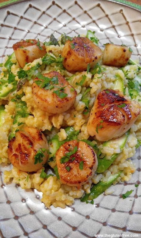 Gluten Free Scallop Risotto with Asparagus | Gluten Free Recipes+ Night Dinner Recipes, Cauliflower Risotto, Seared Scallops, Scallop Recipes, Recetas Keto, Risotto Recipes, Scallops Seared, Grain Free Recipes, Cauliflower Recipes