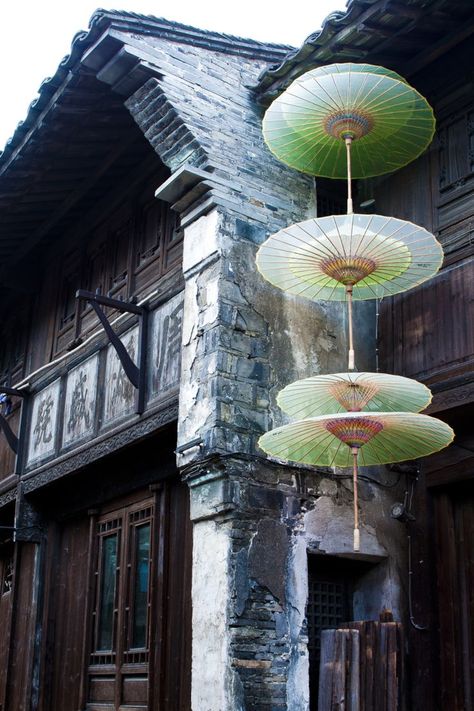 Ancient buildings and artsy umbrellas in Wuzhen, Zhejiang Province. Oil Paper Umbrella, Chinese Umbrella, Paper Umbrella, The Han Dynasty, Oil Paper, Chinese Paper, Paper Umbrellas, Han Dynasty, Ancient Buildings