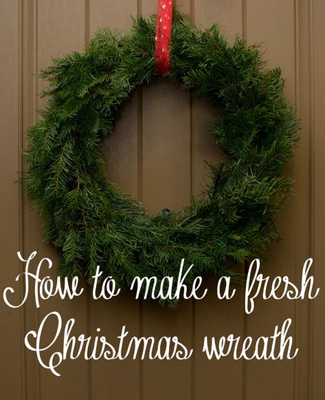 How to Make a Live Christmas Wreath Tutorial! From overthebigmoon.com! Live Christmas Wreath, Live Christmas Wreaths, Real Christmas Wreaths, Crockpot Christmas, Christmas Reef, Homemade Christmas Wreaths, Fresh Christmas Wreath, Big Moon, Chicken Crockpot