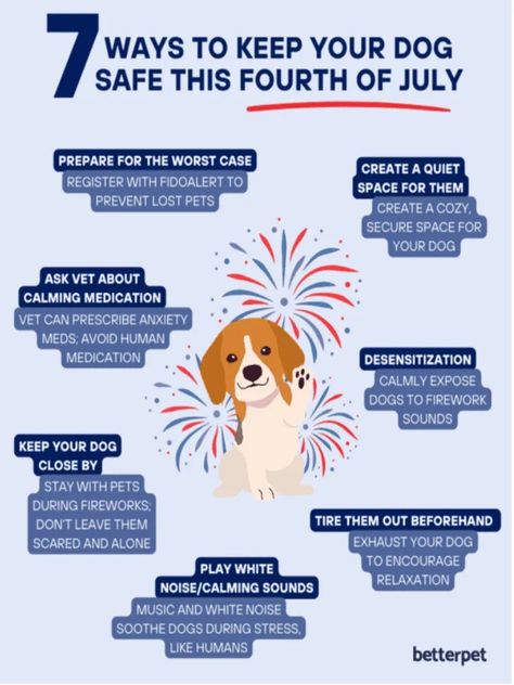 How to Calm a Dog During Fireworks: Stress-Free Tips | by Freeda Mast | Sep, 2024 | Medium Hate Fireworks, Fourth Of July Fireworks, Gourmet Dog Treats, Calm Dogs, Animal Advocacy, Mark Hamill, Dog Care Tips, Free Tips, Healthy Dog Treats