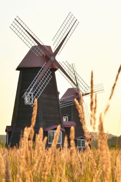 Kincir Angin Aesthetic, Vertical Windmill, Windmill Images, Netherlands Windmills, Windmill Landscaping, Old Windmills, Windmill Design, Dutch Windmills, Ancient Technology