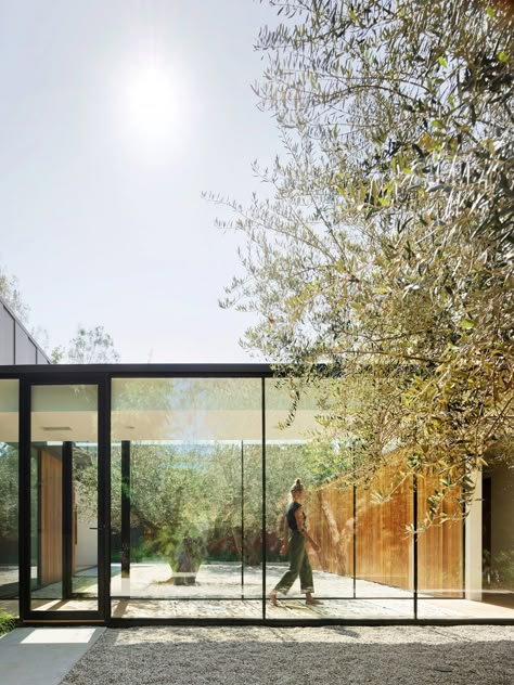 Kaufmann House, Glass Walkway, Garage Guest House, Outdoor Patio Space, Laurel Canyon, Concrete Pavers, Landscape Features, Los Angeles Homes, Courtyard Garden