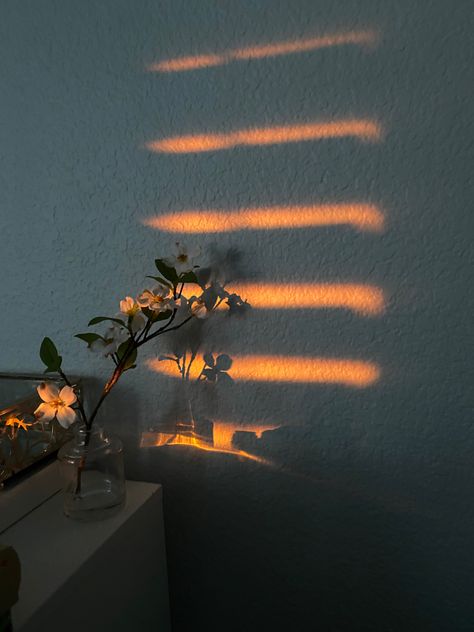 Sunset Window, Window Photography, Photography Aesthetic, Aesthetic Room, The Light, Flowers, Wall, Photography