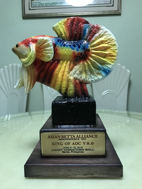 Candy Betta Trophy by Bingkai Iloilo Betta Fish, Independence Day, Snow Globes, Halloween Wreath, Fish, Candy, Halloween, 10 Things, Quick Saves