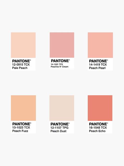 "Peach color square stickers" Sticker by rachziggs | Redbubble Peach Color Palettes, Pantone Colour Palettes, Square Stickers, Brand Color Palette, Pola Sulam, Color Palette Design, Color Inspo, Aesthetic Colors, Peach Color