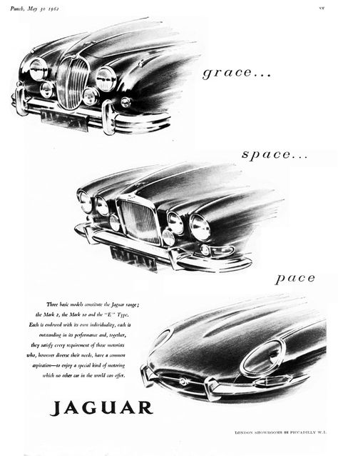 Jaguar's original slogan: Grace, Space, Pace Copywriting Hacks, Jaguar Type E, Jaguar (cars), Nonprofit Marketing, Jaguar Daimler, Jaguar Cars, Jaguar Land Rover, Best Classic Cars, Jaguar Car