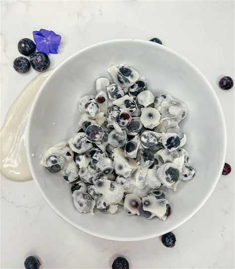 Puppy Blueberry Yogurt Bites Blueberry Yogurt Bites, Greek Yogurt Bites, Healthy Homemade Dog Food, Home Cooked Dog Food, Frozen Greek Yogurt, Yogurt Snacks, Organic Dog Food, Blueberry Yogurt, Dog Treat Recipe