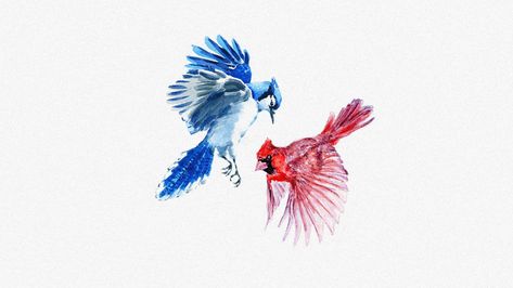 Blue Jay and Cardinal Watercolor Robin And Blue Jay Tattoo, Blue Jay And Red Cardinal Tattoo, Watercolor Bluejay Tattoo, Red And Blue Bird Tattoo, Blue Bird And Cardinal Tattoo, Cardinal Blue Jay Tattoo, Bluejay And Cardinal Tattoo, Blue Jay Tattoo Simple, Blue Jay And Cardinal Tattoo