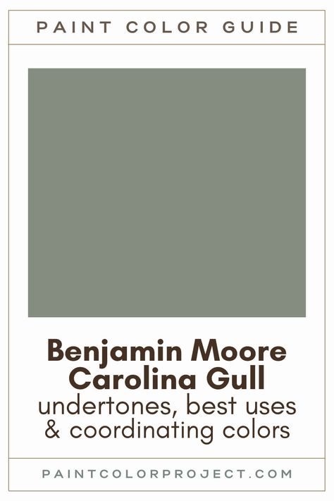 Benjamin Moore Mistletoe, Carolina Gull Coordinating Colors, Carolina Gull Benjamin Moore, Paint For North Facing Rooms, Benjamin Moore Sage Green Colors, Benjamin Moore Carolina Gull, Benjamin Moore Sage Green, Bm Vintage Vogue, Carolina Gull