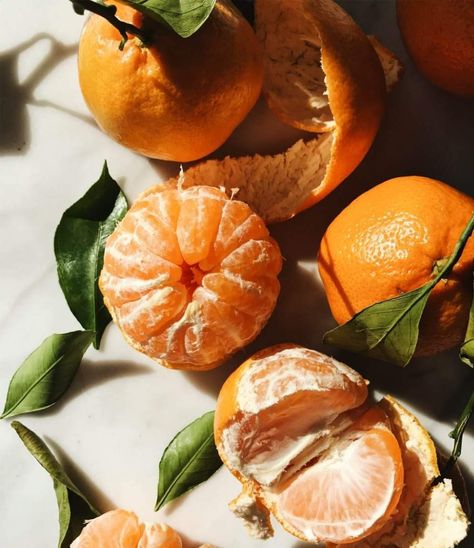 Find images and videos about orange, fruit and fresh on We Heart It - the app to get lost in what you love. Citrus Aesthetic, Tattoos Plants, Plants Tattoo, Plant Bedroom, Edna Lewis, Plant Tattoos, Planting Garden, Rachel Brown, Tattoo Plant