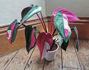 Plant Fabric, Pink Princess Philodendron, Princess Philodendron, Fabric Plants, Felt Cover, Fabric House, Fabric Houses, House Plant, Faux Plants