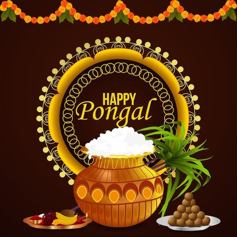 Pongal Invitation Card, Pongal Celebration Drawing, Happy Pongal Images, Pongal Greetings, Pongal Greeting Cards, Sankranthi Wishes, Wishes Board, Happy Pongal Wishes, Pongal Wishes