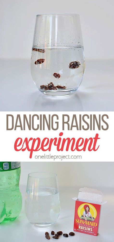 Dancing Raisins Experiment, Dancing Raisins, Summer Science, Science Experiments For Preschoolers, Science Crafts, Science Party, Kid Experiments, Science Projects For Kids, Gummy Worms