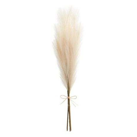 Natural Faux Pampas Grass Bunch | World Market Faux Pampas, Fresh Flower Bouquets, Rugs Outdoor, Reindeer Decorations, Cost Plus World Market, Family Decor, Fiddle Leaf Fig, Faux Succulents, Seasonal Garden