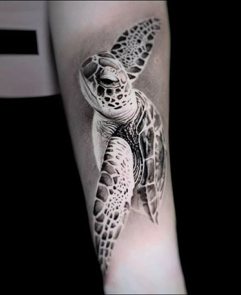 Black And Grey Sea Turtle Tattoo, Large Sea Turtle Tattoo, Nautical Tattoo Women, Sea Turtle Tattoo Realistic, Sea Life Tattoos For Women, Sea Turtle Tattoo Design, Sea Tattoo Sleeve, Turtle Tattoo Ideas, Ocean Life Tattoos