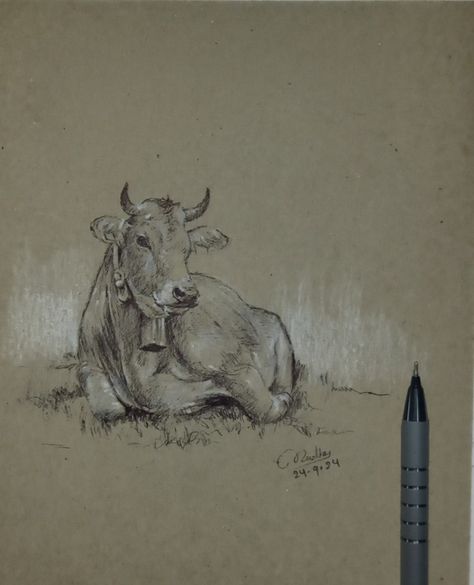 Cow drawing on tone paper Cow Pen Drawing, Cow Drawing Realistic, Cow Pen, Cow Sketch, Tone Paper, Cow Drawing, Toned Paper, Pen Drawing, Art Ideas