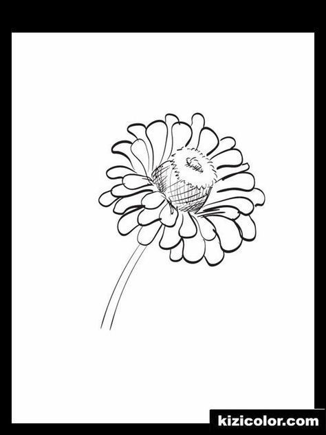 black and white zinnia flower clip art - Google Search Zinnia Drawing, Zinnia Painting, Print Out Coloring Pages, White Zinnia, Herbs Illustration, Zinnia Flower, Flower Clip Art, Flower Mural, Zinnia Flowers