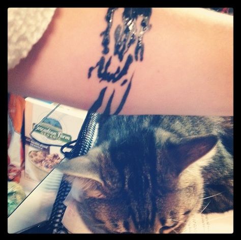 Tattoo: the pattern on the top of my cats head. (Crazycatladystatusachieved) Pet Marking Tattoo, Animal Marking Tattoo, Cat Forehead Marking Tattoo, Cat Head Marking Tattoo, Cat Fur Pattern Tattoo, Cat Forehead Tattoo, Cat Head Tattoo Outline, Cat Markings Tattoo, Cat Head Pattern Tattoo