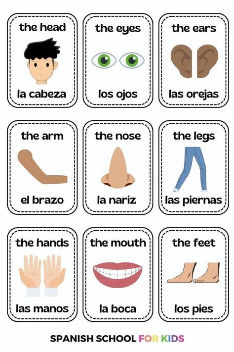 Use fun activities like these 7 Spanish vocabulary activities to help your kids learn Spanish body parts vocabulary. This basic Spanish vocabulary is perfect Use these free Spanish vocabulary printables and videos to help your kids start learning Spanish vocabulary kids need to know: basic vocabulary in Spanish like body parts. Click the link for these Spanish vocabulary worksheets & other activities with Spanish vocabulary for kids today! Words For Travel, Spanish Words For Kids, Race Car Craft, Spanish Body Parts, Body Parts In Spanish, Literacy Bags, Spanish Homework, Body Parts For Kids, Mexico Crafts