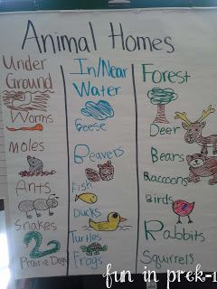 Animal Homes, Animal Lessons, Creative Curriculum, Animal Study, Kindergarten Science, Animal Activities, Preschool Science, Animal Habitats, E Mc2