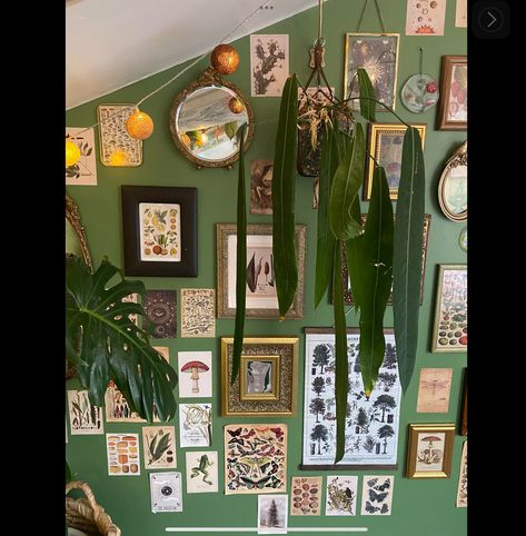 Bathroom In Basement, Goblincore Room, Collage Walls, Wizard Tower, A Softer World, Nature Mushrooms, Bedrooms Inspiration, Celestial Symbols, Mid Century Eclectic