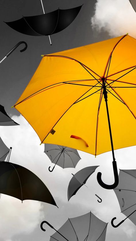 Umbrella Wallpaper, Yellow Umbrella, Umbrella Art, New Background Images, Out Of Place, New Background, New Backgrounds, Colour Yellow, Splash Of Colour