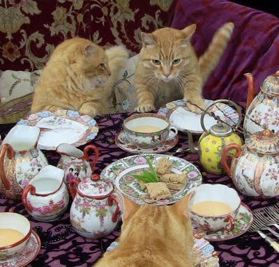 Animal Tea Party, Tea Party Aesthetic, Cat Bday, Cat Tea Party, English Afternoon Tea, The Muses, Dream Diary, Cat Vs Dog, Painting References