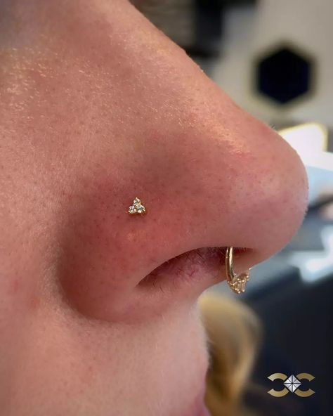 ✨Comment 'LINK' to receive the product links and jewellery prices in your DMs✨ Classic yet stunning! Nostril Piercing with our 18k yellow gold trinity stud adds a touch of elegance to any look. ✨💛 #YellowGoldJewelry #NosePiercing Find Ireland's largest collection of Fine Jewellery in-store at 7 D'Olier Street or online at our webstore, link in bio! Sun Nose Stud, Nostril Piercing Stud, Nostril Stud, Nostril Piercing Jewelry, Piercing Nostril, Curated Ears, Nostril Piercing, Edgy Jewelry, Piercing Inspo