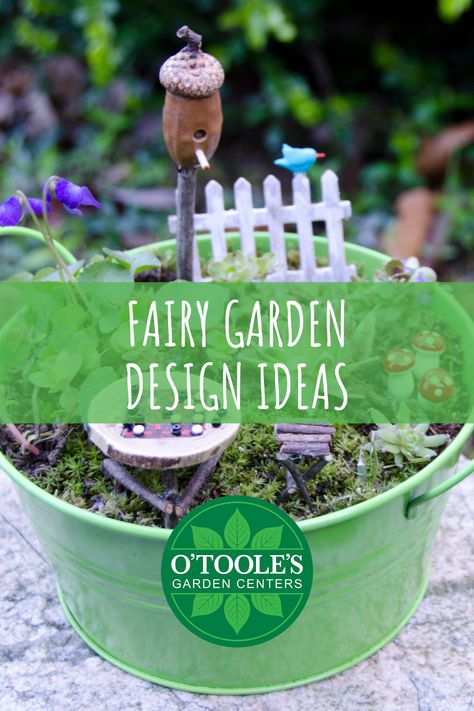 So, you’ve spent hours and hours on Pintrest oogling a million adorable fairy gardens. But you’re not crafty enough to make something like that, right? Wrong! All you need is a little help getting started. Here are five easy design tips to help kick start your creativity. Read on O’Toole’s Garden Centers at the link below! #gardening #gardeningtips #greenthumb #plantlife #gardentips #gardenadvice Easy Fairy Garden, Plant Decor Hanging, Whimsical Fairy Garden, Best House Plants, Keeping Plants Alive, Make A Fairy Garden, Hanging House Plants, Fairy Garden Containers, Indoor Fairy Gardens