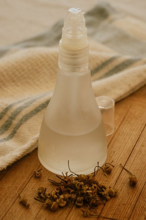 How to Make a DIY Chamomile Hydrosol with Fresh or Dried Flowers Hydrosol Diy, Drinks For Skin, Lavender Hydrosol, Homemade Baby Wipes, After Sun Spray, Diy Lavender, Rose Hydrosol, Lavender Water, Lavender Spray