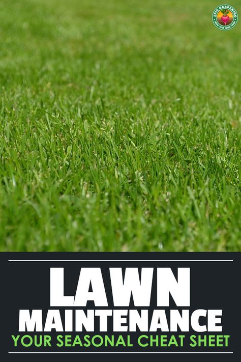 Fall Lawn Maintenance, Lawn Maintenance Schedule, Spring Lawn Care, Lawn Care Schedule, Fall Lawn, Lawn Care Business, Yard Maintenance, Aerate Lawn, Diy Lawn