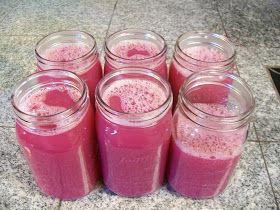 Wild Plum Juice, Canning Plums, Vacuum Sealing Food, Jam Maker, Canned Plums, Plum Juice, Wild Plum, Canning Fruit, Plum Recipes