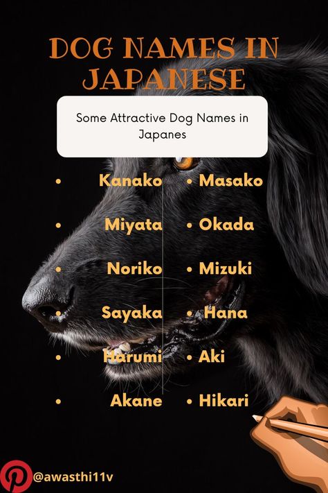 Dogs Names In Japanese | Pets Names Names In Japanese, Japanese Names And Meanings, Good Names, Cute Names For Dogs, Japanese Dogs, Cute Names, Japanese Names, Names With Meaning, Stay Connected