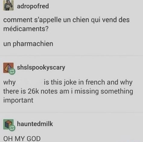 French Jokes, Language Jokes, Collateral Beauty, Funny French, Bad Jokes, Oui Oui, Learn French, Dad Jokes, Funny Me