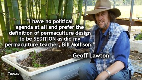 Geoff Lawton, Bill Mollison, Food Forests, Food Forest Garden, Land Clearing, Mark Sheppard, Permaculture Gardening, Permaculture Design, Food Forest