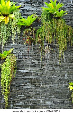 a waterfall on the stone wall  with the green plants Kolam Koi, Taman Air, Water Feature Wall, Outdoor Water Features, Vertical Vegetable Garden, Waterfall Wall, Walled Garden, Big Garden, Water Features In The Garden