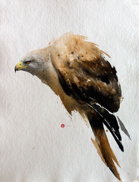 Karl Mårtens | WATERCOLOR Karl Martens, Watercolour Birds, Watercolor Birds, Wildlife Paintings, 수채화 그림, Cat Air, Wow Art, Bird Drawings, Watercolor Inspiration