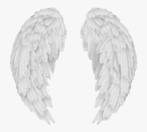 Angel Wings Png, Tumblr Png, Wings Png, Overlays Tumblr, White Angel Wings, White Truck, Edit My Photo, Dreamcore Weirdcore, Overlays Transparent