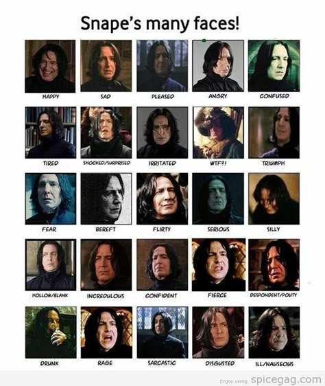 severus snape, harry potter Snape X Hermione, Severus Snape Funny, Snape Funny, Severus Sneep, Milady De Winter, Severus Snape Fanart, Professor Severus Snape, Alan Rickman Severus Snape, Harry Potter Severus