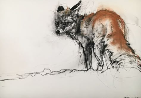 Fox Sketch, Animal Illustration Art, Art Charcoal, Charcoal Sketch, Oil Pastel Art, Charcoal Art, Art Folder, Almost There, Fox Art