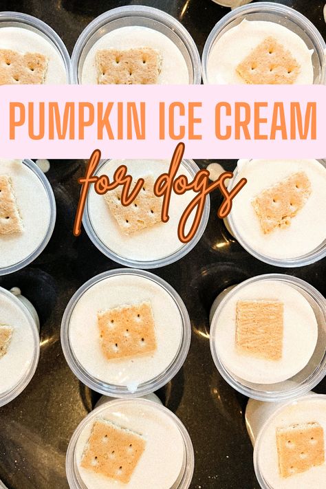 Pumpkin Dog Ice Cream, Homemade Dog Ice Cream Frosty Paws, Diy Doggy Ice Cream, Homemade Dog Dessert, Dog Friendly Ice Cream, Ice Cream For Dogs Recipes, Ninja Creami Dog Ice Cream, Puppy Ice Cream Recipes, Dog Ice Cream Recipe Homemade