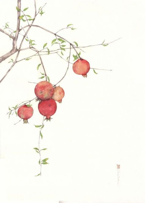 Pomegranate Art, 심플한 그림, Chinese Art Painting, Image Nature, Watercolor Flower Art, 수채화 그림, Fruit Art, Watercolor Inspiration, Flower Art Painting