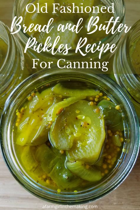 Old Fashioned Bread and Butter Pickles Recipe for Canning Old Fashion Bread And Butter Pickles, Bread Butter Pickles Canning, Amish Bread And Butter Pickles, Bread And Butter Pickle Recipe Canning, Canned Bread And Butter Pickles, Bread And Butter Pickles Canning, Easy Bread And Butter Pickles, Bread And Butter Pickle Recipe, Homemade Bread And Butter Pickles