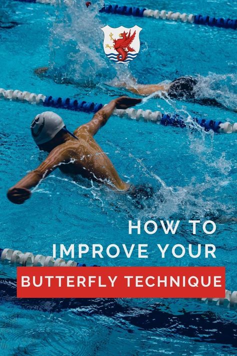 Swim Team Mom, Swimming Butterfly, Swim Team Quotes, How To Swim Faster, Dryland Workout, Breaststroke Swimming, Workouts For Swimmers, Teach Kids To Swim, Grow Turmeric