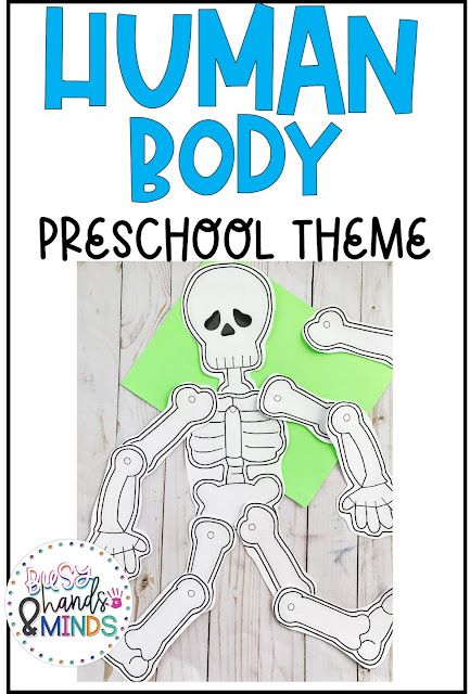 Human Body Preschool Theme My Body Theme For Preschool, Learning About The Body For Preschool, Anatomy For Preschoolers, Body Unit Preschool, My Body And Health Preschool, Human Body Lesson Plans For Preschool, All About My Body Preschool Activities, My Body Art Preschool, Preschool Human Body Theme