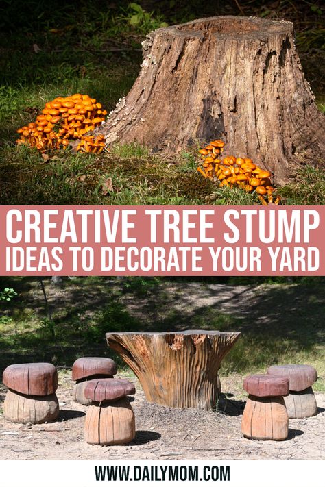 Tree Stump Ideas Outdoor Front Yard, Galvanized Tub Planter, Tree Stump Ideas, Stump Ideas, Tree Stump Planter, Short Trees, Concrete Bird Bath, Garden Rock Border, Beach Grass