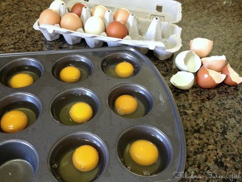 How To Freeze Eggs by FabulousFarmGirl. A simple and easy way to make sure you never run out of eggs. Who knew? How To Freeze Eggs, Freeze Eggs, Eggs In Muffin Tin, Poached Egg Recipe, Freezing Fruit, Freezing Vegetables, Freezing Eggs, Canning Food Preservation, Make Ahead Breakfast Sandwich