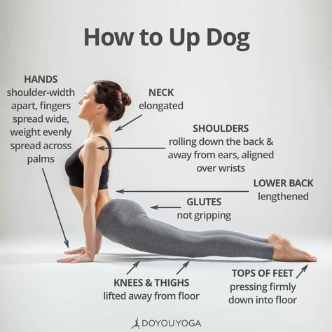 Upward Dog, Yoga Ashtanga, Ashtanga Vinyasa Yoga, Upward Facing Dog, Muscle Abdominal, Yoga Beginners, Sup Yoga, Frosé, Dog Yoga